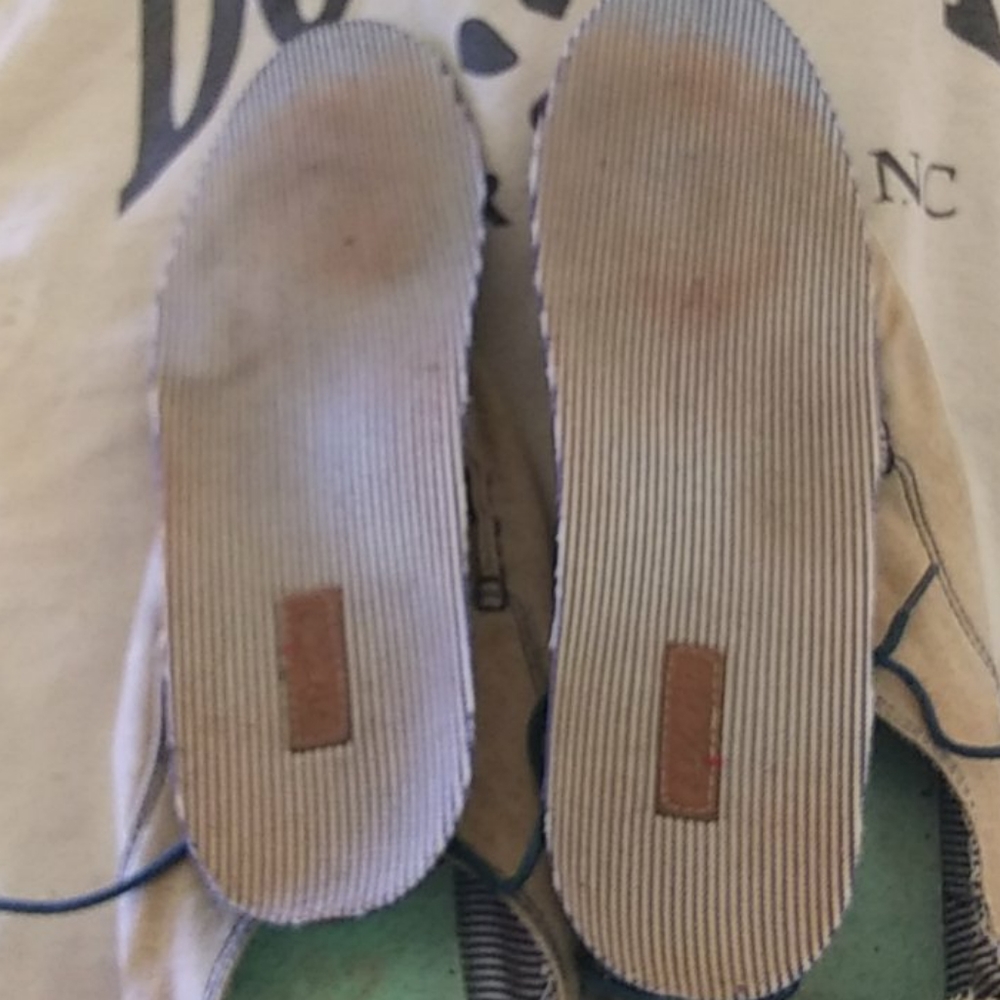 Shies - Picture 8 of 8